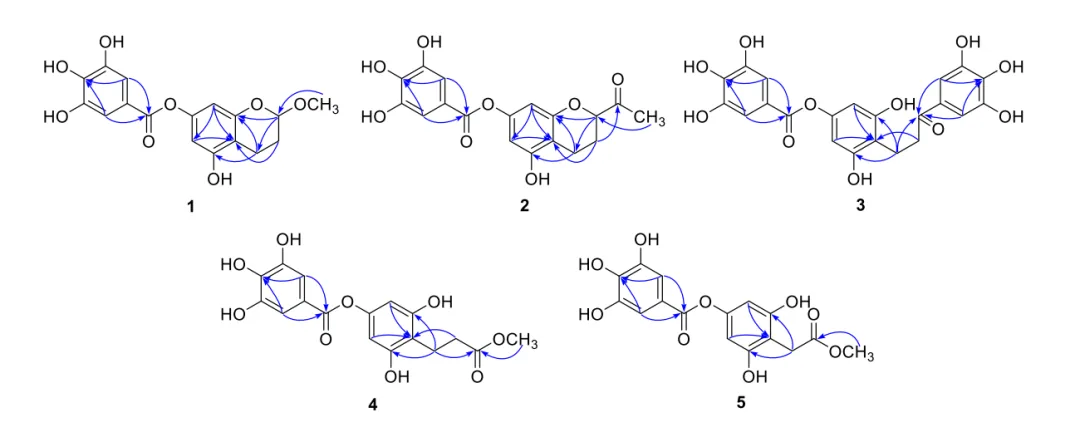 一文了解计算机辅助结构解析(CASE 算法)的应用文献