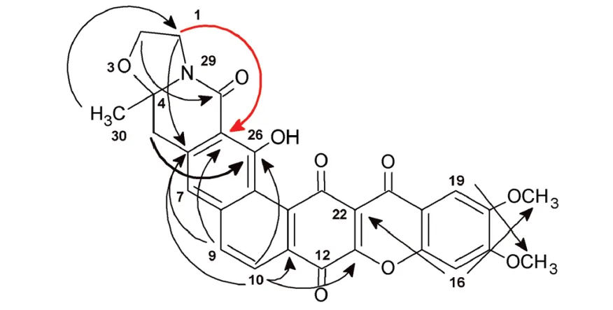一文了解计算机辅助结构解析(CASE 算法)的应用文献