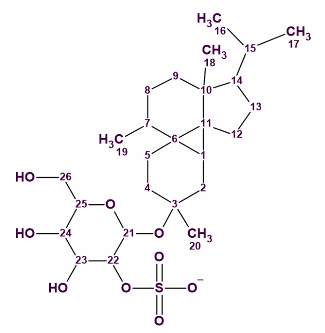 每月案例|海洋天然产物 Peyssonnoside A 的结构解析