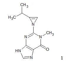 基于 CASE 技术进行海洋天然产物 acremolin 的快速结构确证