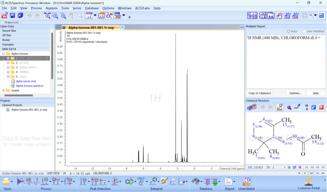 NMR Workbook Suite 主界面展示