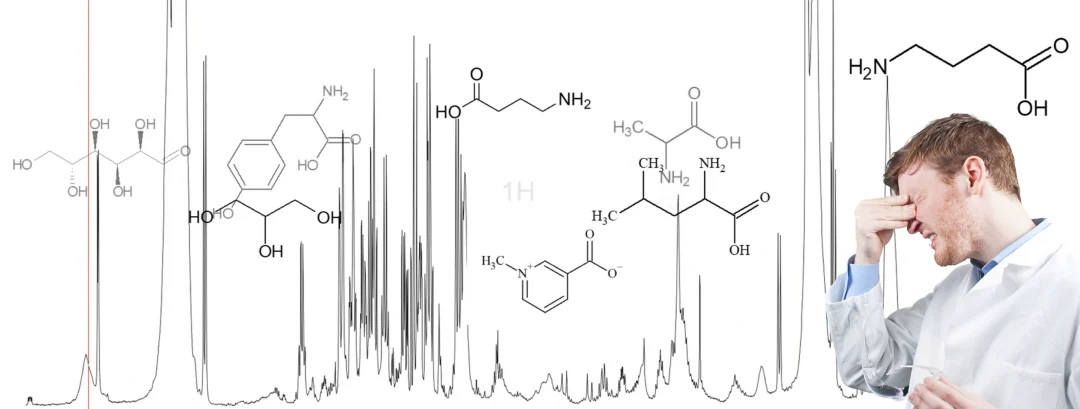 复杂混合物的 1H NMR 谱与主要成分示意