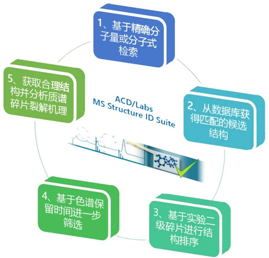 MS Structure ID Suite 未知物结构解析五步工作流